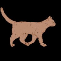 Purr-Plexing screenshot, image №3338442 - RAWG