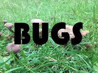 BUGS (itch) (pikmingeneral) screenshot, image №2640556 - RAWG