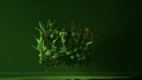 Organic Vessels - Polpo Créa (Tina Bôle) screenshot, image №3854069 - RAWG