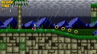 Sonic Frenzy Adventure screenshot, image №2530695 - RAWG