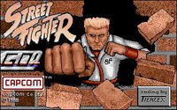 Street Fighter (1987) screenshot, image №745492 - RAWG