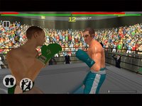 Real 3D Boxing Punch screenshot, image №2112784 - RAWG