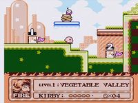 Kirby's Adventure screenshot, image №248590 - RAWG