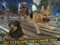 Hero Patrol: Puppy Farm screenshot, image №1854487 - RAWG