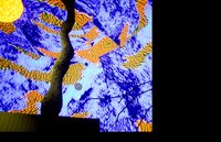 Finger Trees screenshot, image №3986663 - RAWG