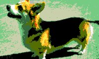 CORGI SUMMER SCHOOL: SUPREME COURT EDITION screenshot, image №1049276 - RAWG