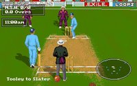 Allan Border's Cricket screenshot, image №308459 - RAWG