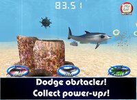 Dolphin Swim & Play! Game For Kids And Toddlers screenshot, image №3293874 - RAWG