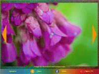 Picture Animation Pro screenshot, image №1699757 - RAWG