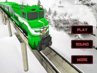 Super Fast Train 3D screenshot, image №1604871 - RAWG