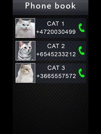 Fake Video Call Cat screenshot, image №871562 - RAWG
