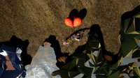 Dig for Spring screenshot, image №1241287 - RAWG