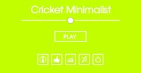 Cricket Minimalist Game screenshot, image №3091466 - RAWG