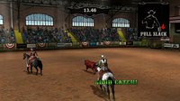 Top Hand Rodeo Tour screenshot, image №283981 - RAWG