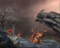 Warhammer: Mark of Chaos screenshot, image №438694 - RAWG