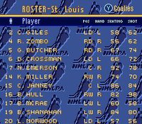Brett Hull Hockey screenshot, image №761331 - RAWG