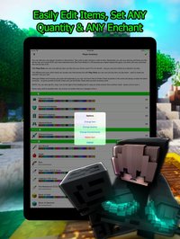 Plug Toolbox for Minecraft screenshot, image №935272 - RAWG