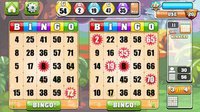 Bingo Casino!! screenshot, image №890365 - RAWG