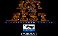 Best of the Best: Championship Karate screenshot, image №734780 - RAWG