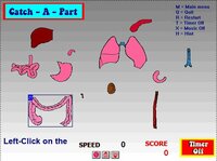 Body Parts Window's Game screenshot, image №2529241 - RAWG