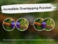 Venn Turtles: Overlapping Jigsaw Puzzles screenshot, image №1788605 - RAWG