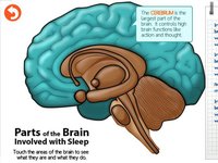 CityHacks: In Search of Sleep screenshot, image №1886590 - RAWG