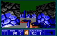 Wolfenstein 3D + Spear of Destiny screenshot, image №228752 - RAWG