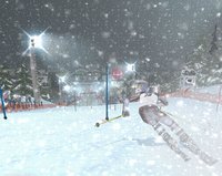 Ski Racing 2006 screenshot, image №436208 - RAWG