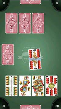 Fat Card screenshot, image №2710226 - RAWG