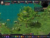 Eudemons Online screenshot, image №473203 - RAWG