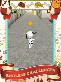 Fun Pet Animal Run Game - The Best Running Games For Boys And Girls For Free screenshot, image №2025387 - RAWG