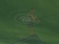 Rapala Pro Fishing screenshot, image №410193 - RAWG