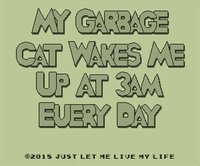 My Garbage Cat Wakes Me Up At 3AM Every Day screenshot, image №998300 - RAWG