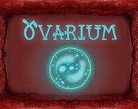 Ovarium screenshot, image №2390432 - RAWG