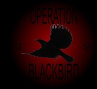 Operation Blackbird screenshot, image №2148742 - RAWG