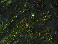 StarCraft II: Heart of the Swarm screenshot, image №505684 - RAWG