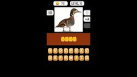 Photo Quiz - Animals screenshot, image №3956815 - RAWG