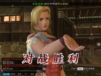 Dead or Alive Online screenshot, image №480177 - RAWG