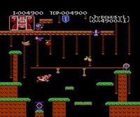Donkey Kong Jr. screenshot, image №822749 - RAWG