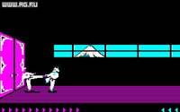 Karateka (1985) screenshot, image №296440 - RAWG