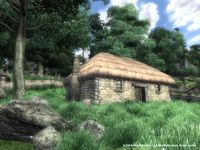 The Elder Scrolls IV: Oblivion Game of the Year Edition screenshot, image №138552 - RAWG