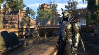 The Elder Scrolls Online: Morrowind screenshot, image №241401 - RAWG