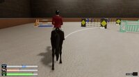 Pro Show Jumping screenshot, image №4009303 - RAWG