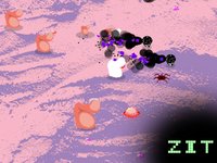 Zit screenshot, image №1280220 - RAWG