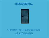 A Portrait of the Screen Door as a Young Man screenshot, image №1185006 - RAWG