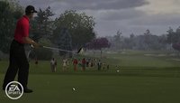 Tiger Woods PGA Tour 10 screenshot, image №519763 - RAWG