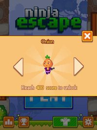 Ninja Escape screenshot, image №2121410 - RAWG