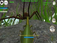 Praying Mantis Simulator 3D screenshot, image №936661 - RAWG