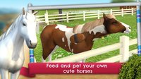 HorseWorld: Show Jumping Premium screenshot, image №1521506 - RAWG