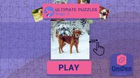 Ultimate Puzzles Dogs 3 screenshot, image №3170241 - RAWG
